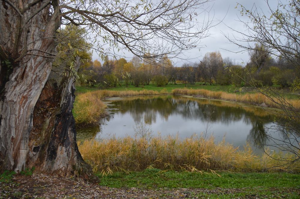 Photograph by Наталья Душакова