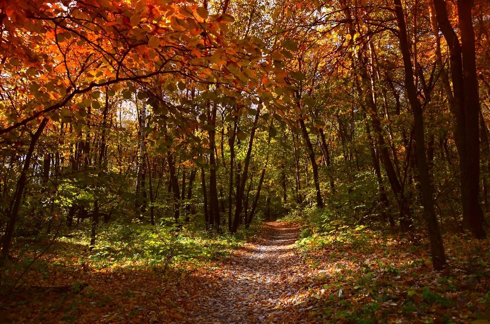 Photograph by Наталья Иванова