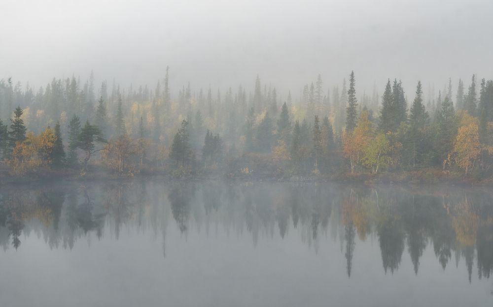 Хибины. Осень. Туман.