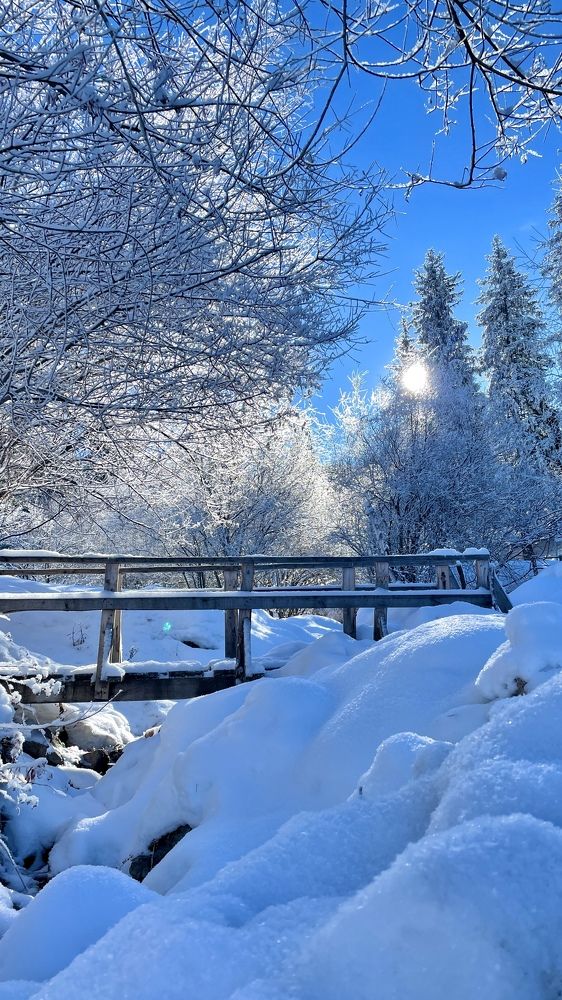 Зимняя сказка в горах Заилийского Алатау.