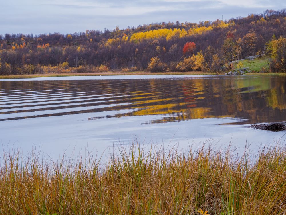 Photograph by Шейко Анна