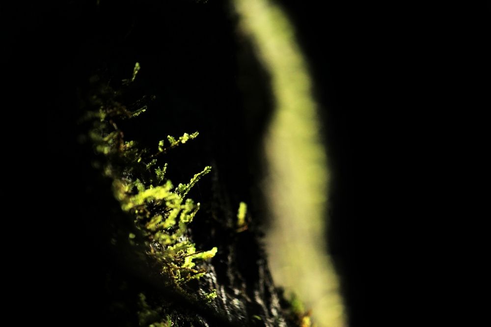 Photograph by Pheap Sophinh