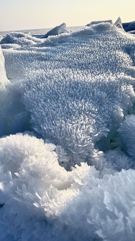 Чешуйчатые коврики на ледяных торосах