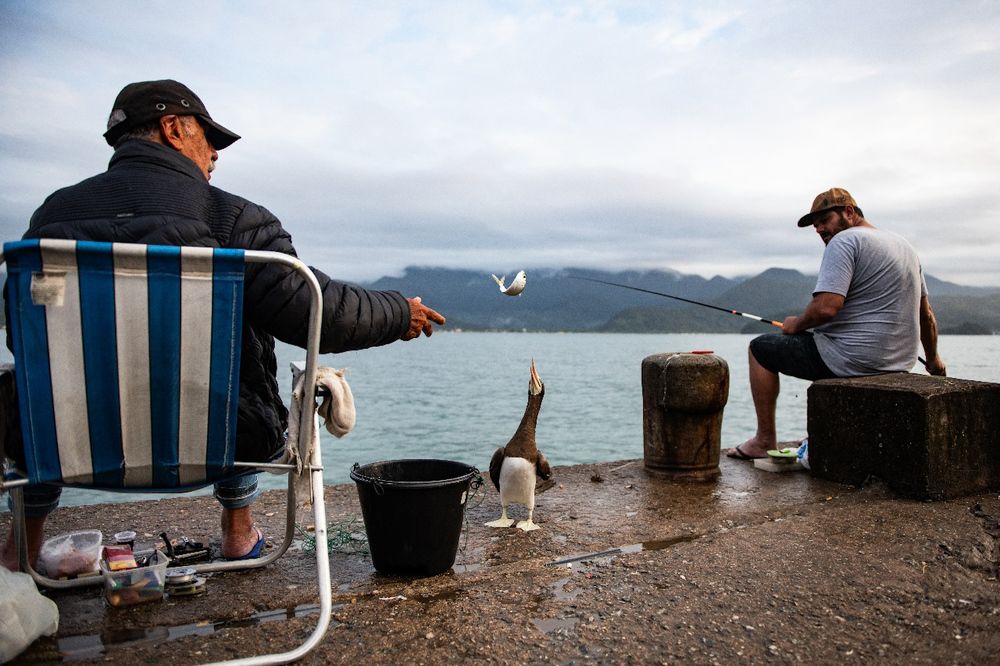 Photograph by Marcelo Monteiro