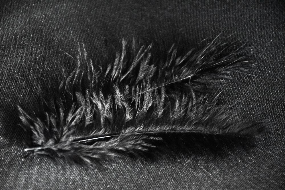 Photograph by Елена Петрова