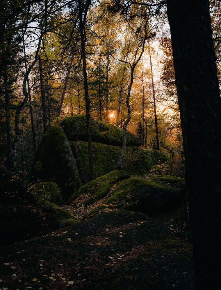 Photograph by Аслан Маргиев