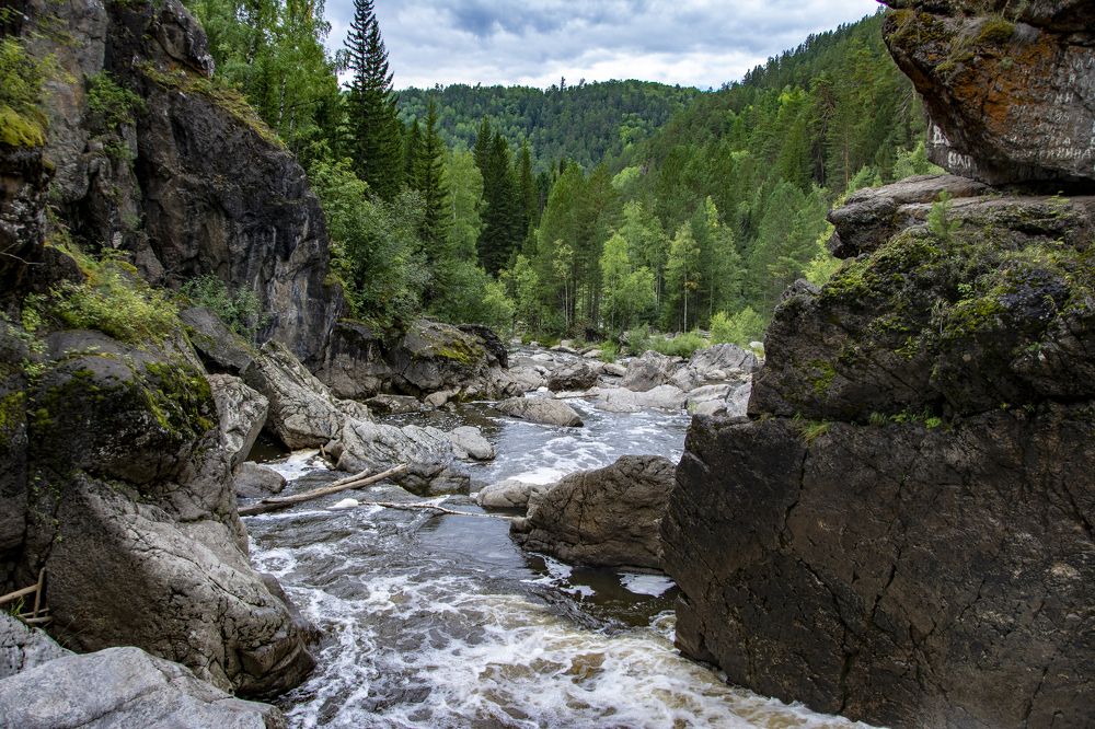 Фотография автора Анатолий Мацеля