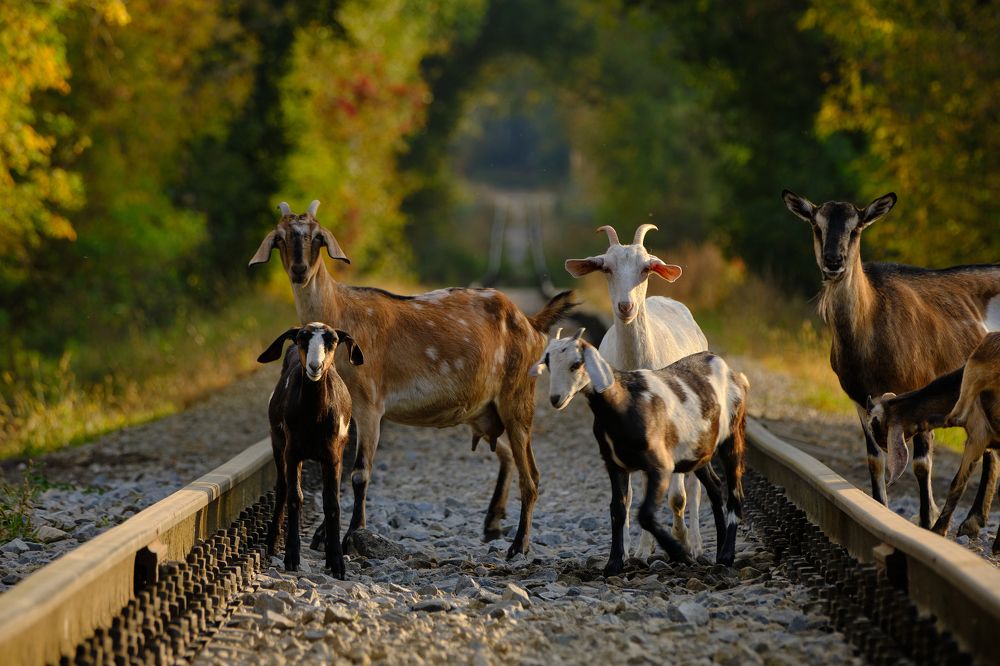 Photograph by Василий Арлашов