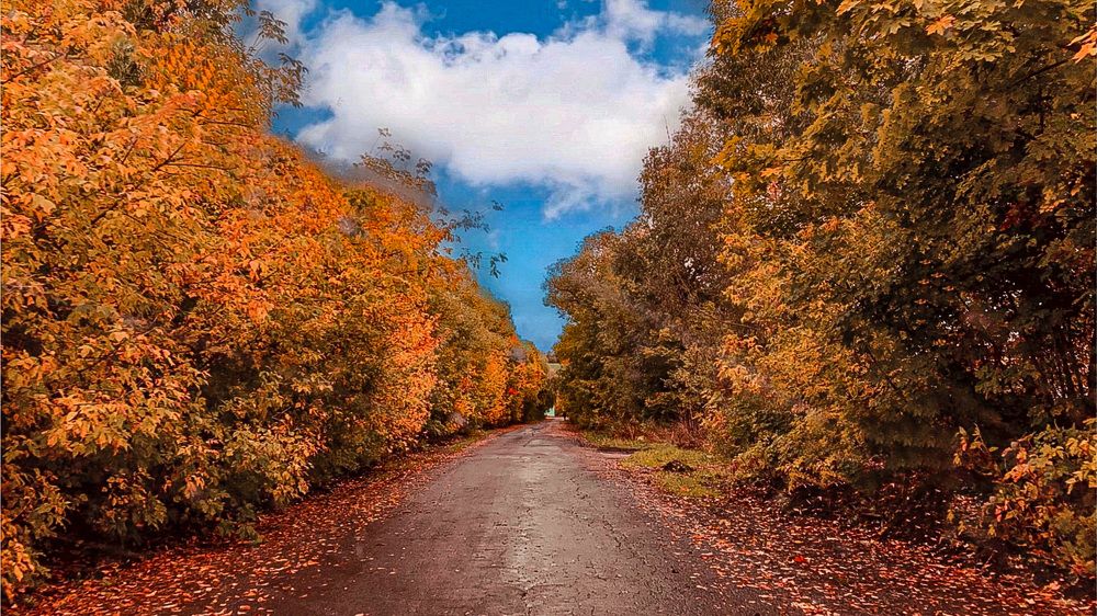 Photograph by Natasha Efanova