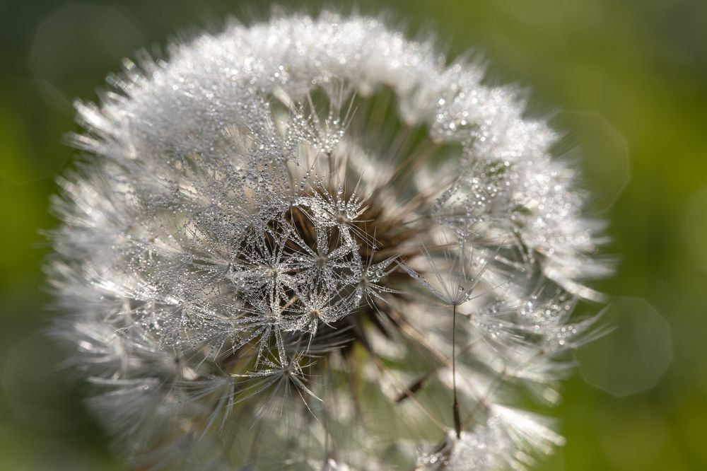 Photograph by Татьяна Феденкова