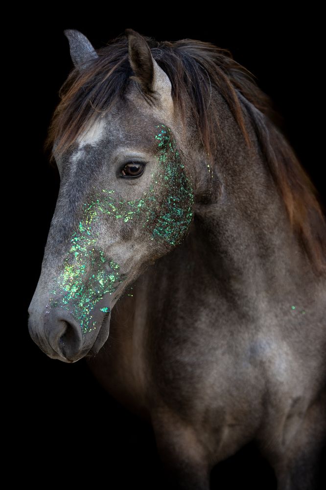 Photograph by Ирина Голомако