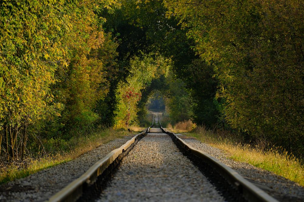 Photograph by Василий Арлашов