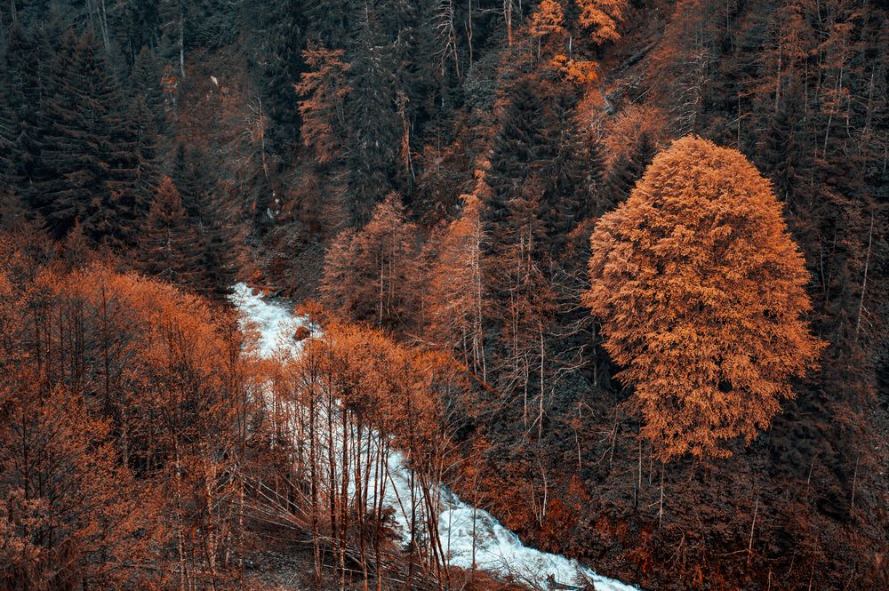 Photograph by Abdullah Al Battah