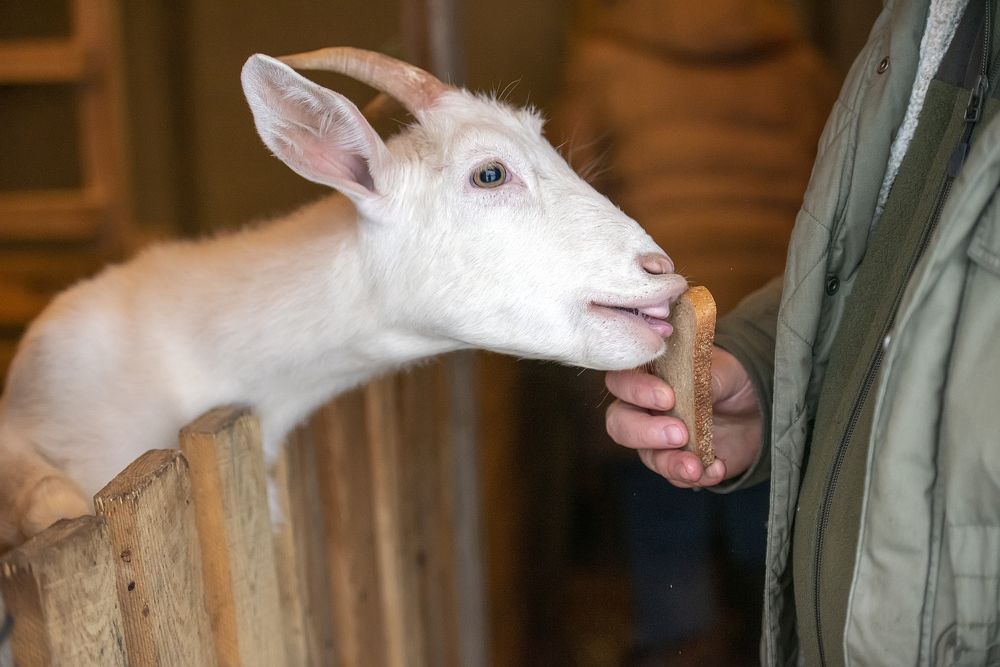 Photograph by Андрей Анатольевич Жуков