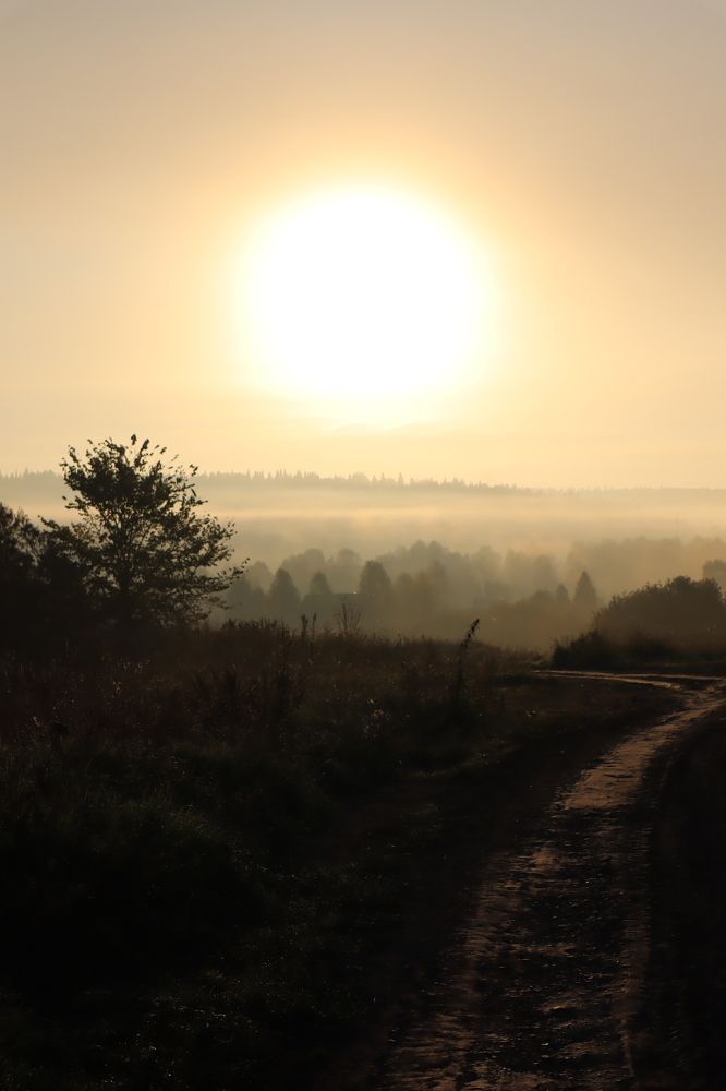 Photograph by Наталья