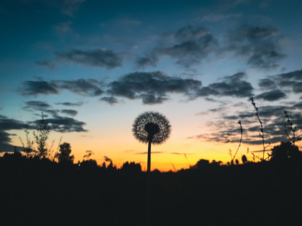 Photograph by Димитрий Осинцев