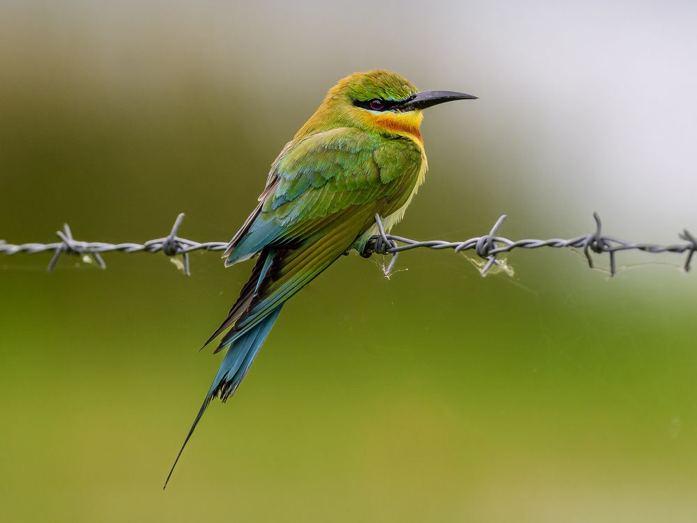 Photograph by Sergey Puponin