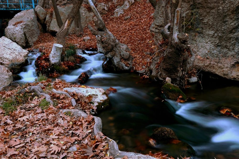 Photograph by Behnam Lohrasebi