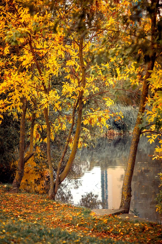 Photograph by Александра Ставчикова