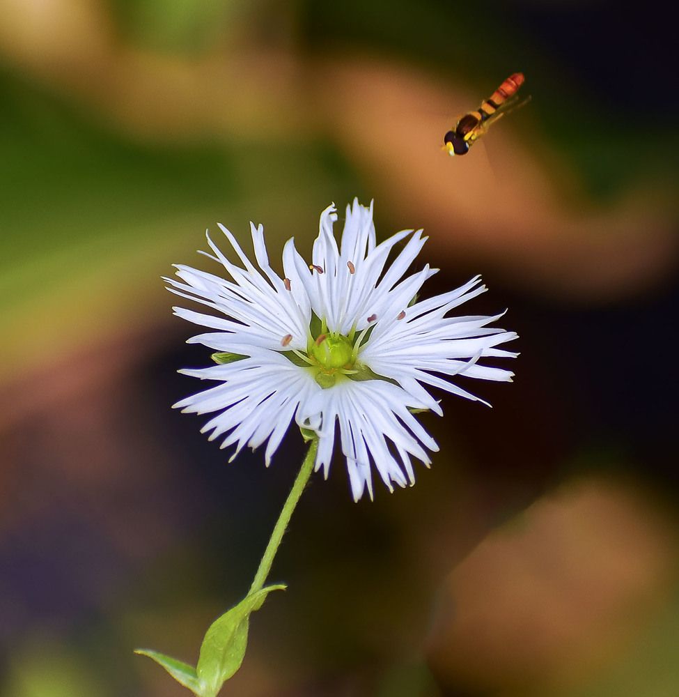 Заход на посадку
