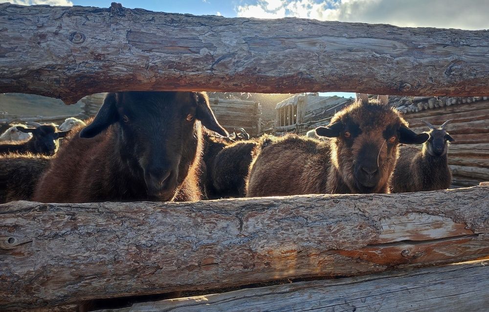 Photograph by Алина Эбель