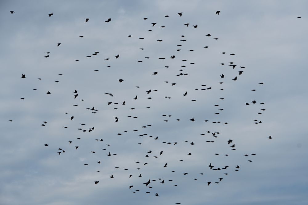 Фотография автора Вадим Коваленко