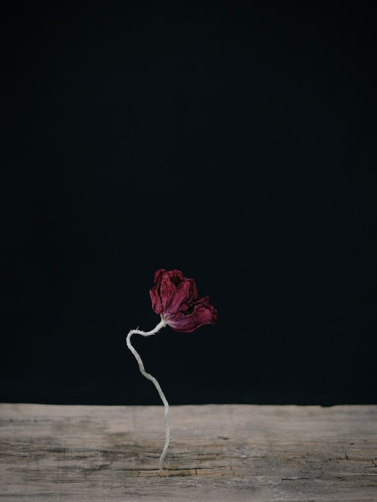 Фотография автора Ирина Мосько