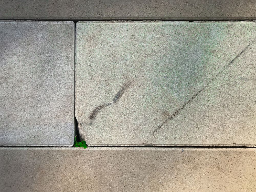 Photograph by Димитрий Осинцев