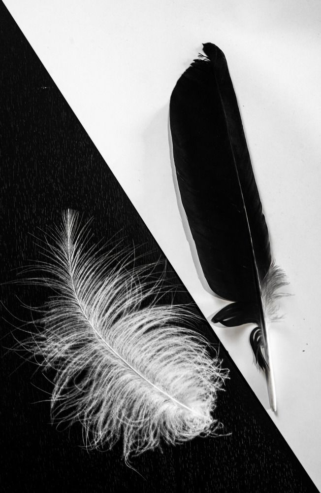 Photograph by Савчук Сергей