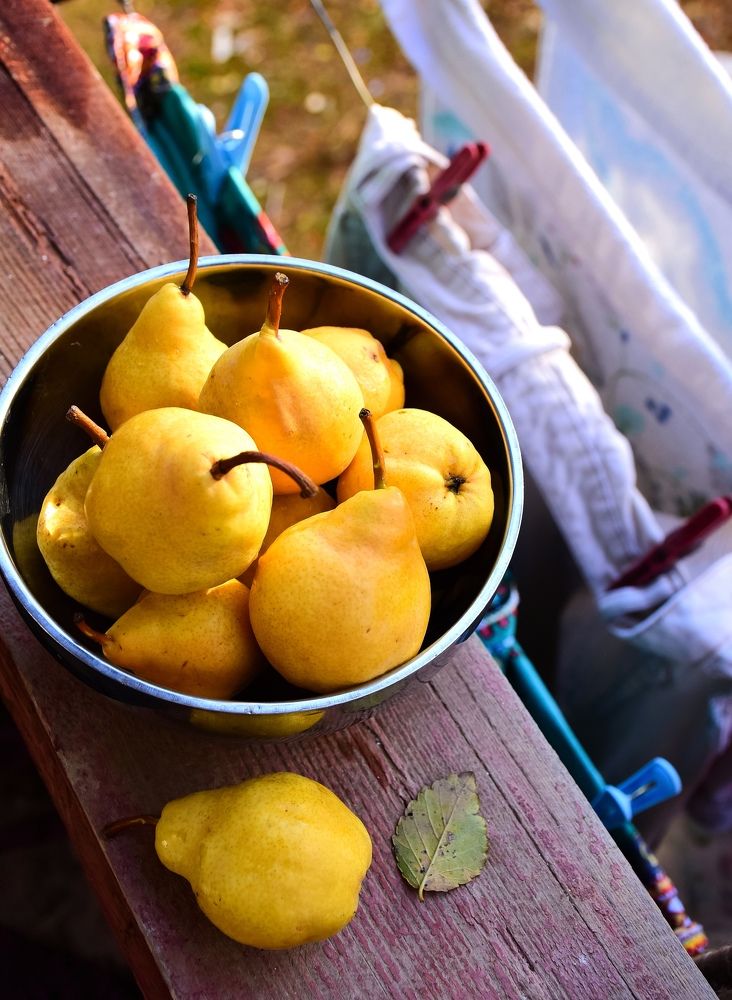 Photograph by Валентина