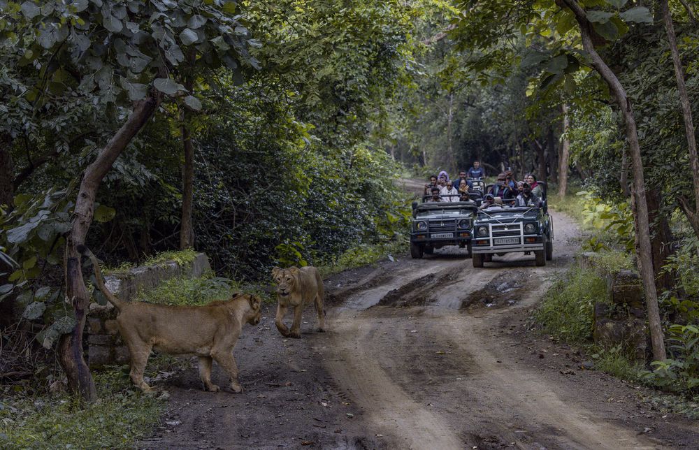 Photograph by Dr. Karim Kadiwar