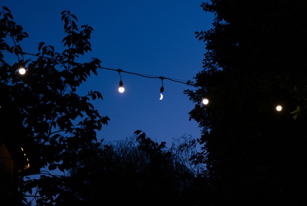 Фотография автора Javid Hashimov