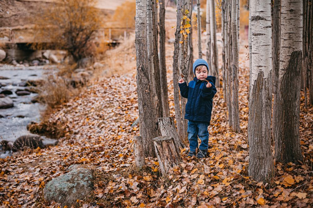Фотография автора Дарья Шевченко