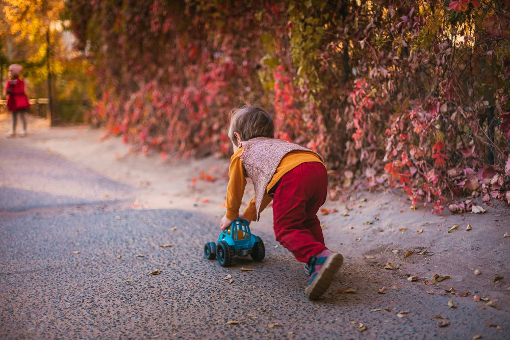 Фотография автора Дарья Шевченко