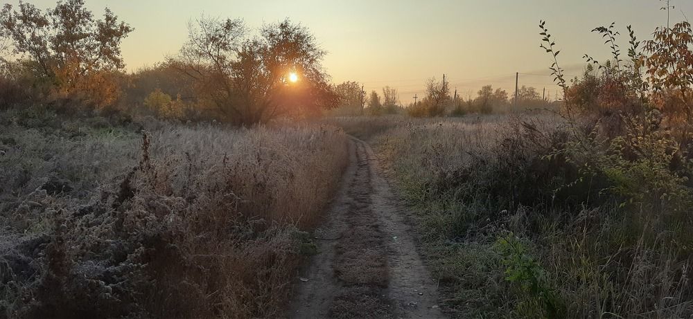Фотография автора Светлана Дубина