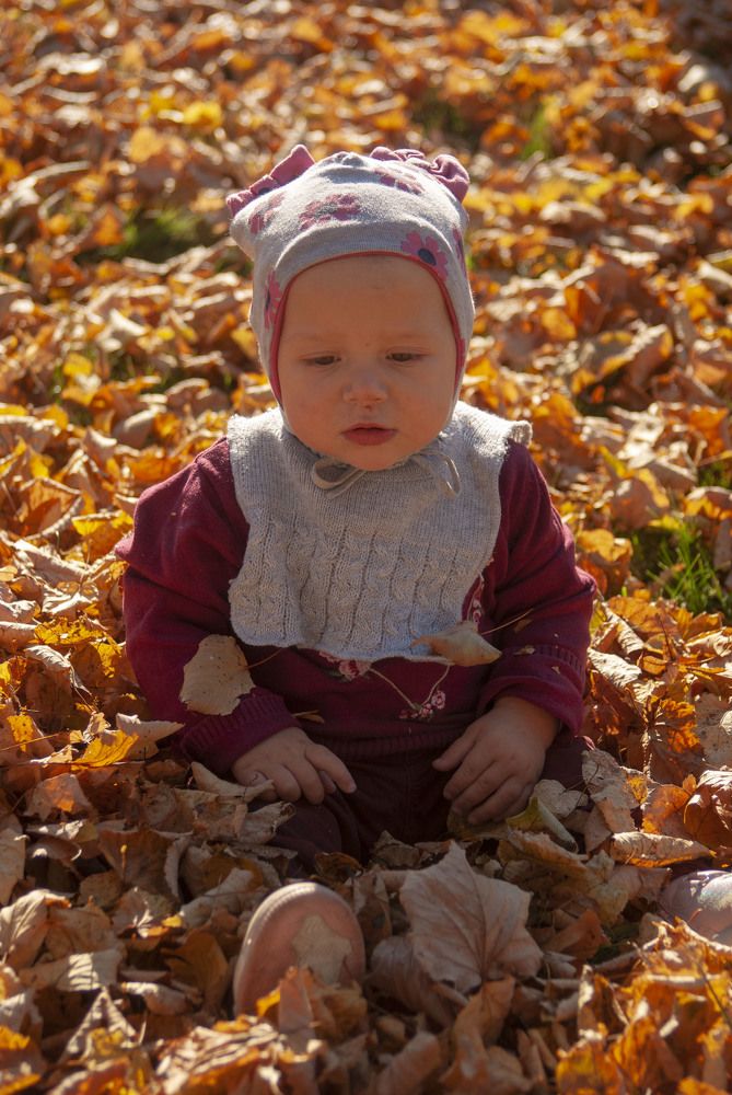 Фотография автора Нина Шкляр