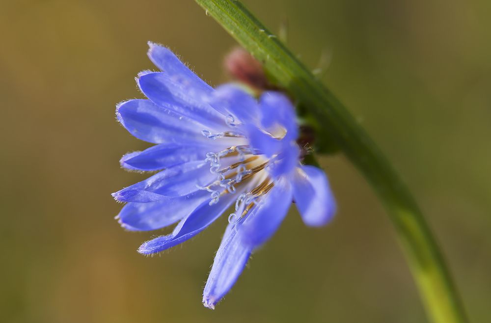 Photograph by Дроздова Наталья