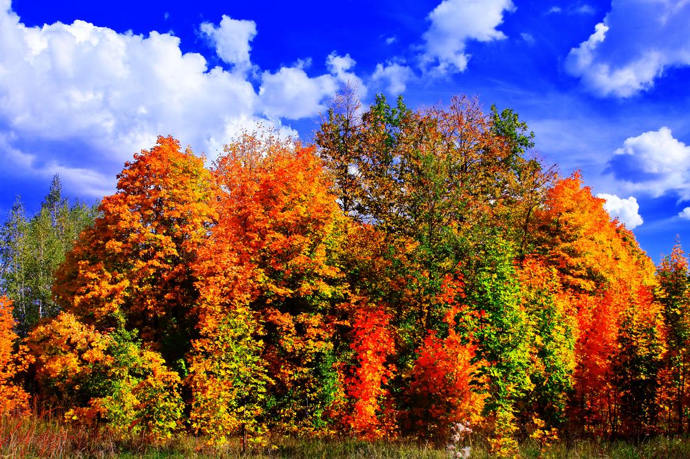 Photograph by Elena Dementova