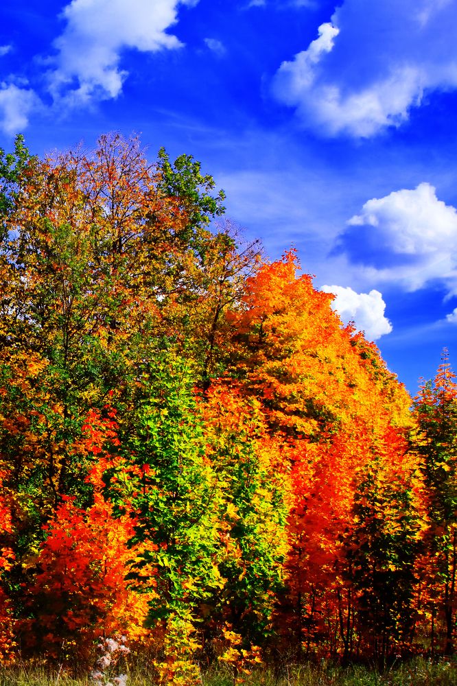 Photograph by Elena Dementova