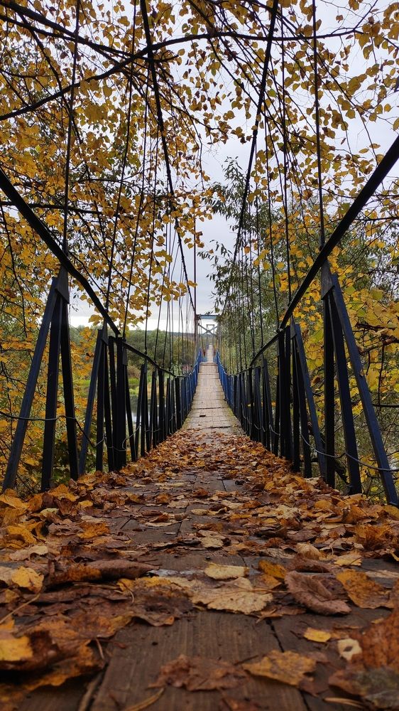 Photograph by Мария Иванова