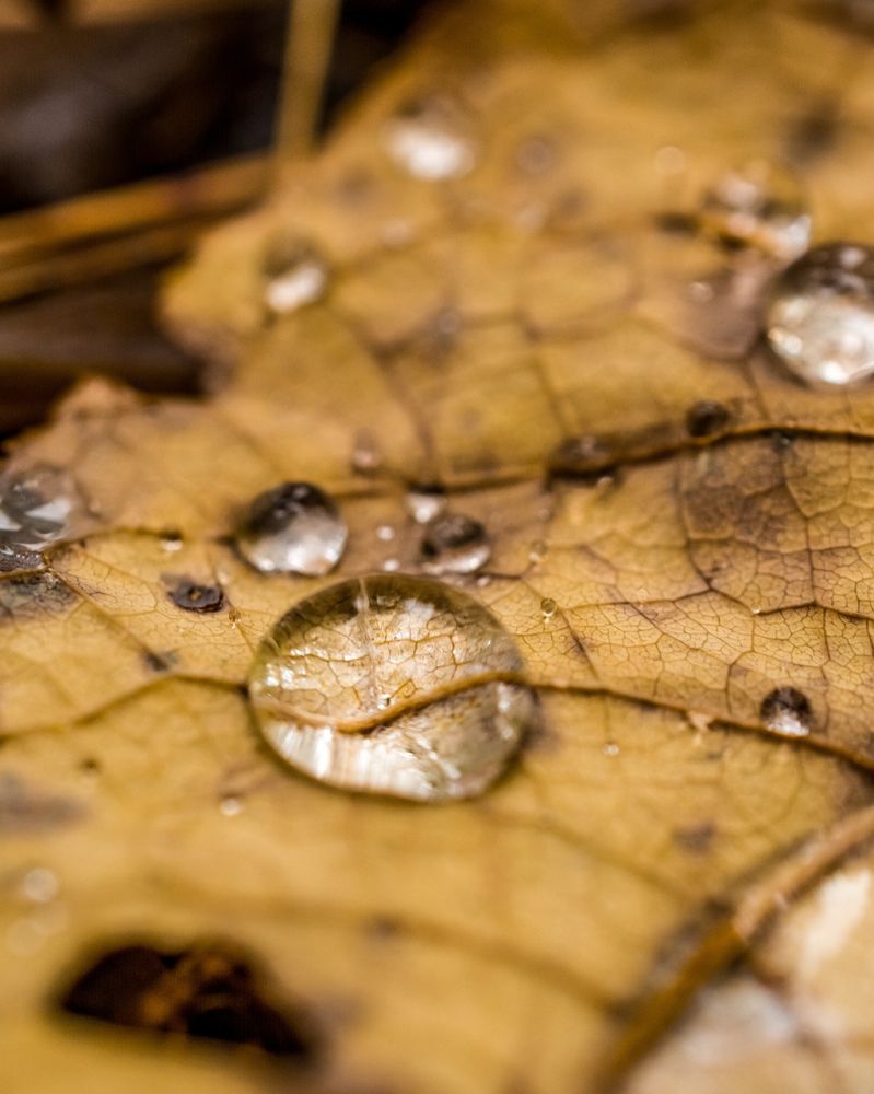 Photograph by Николай Головко