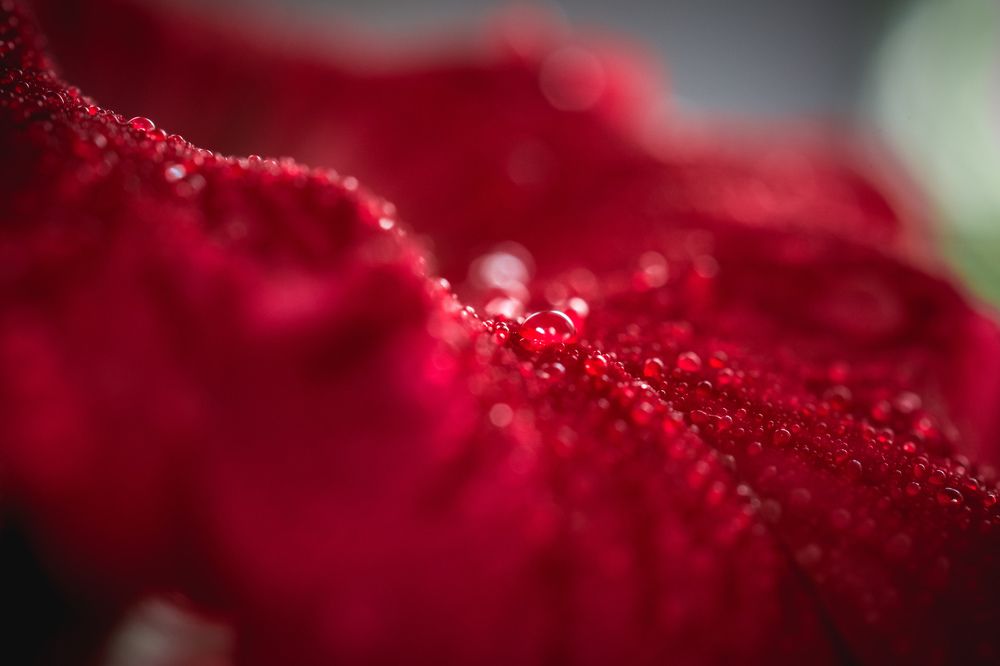 Photograph by Николай Головко