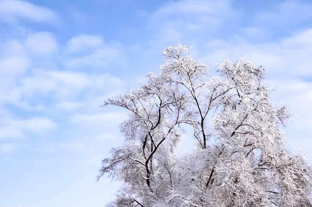 Прекрасная чистота