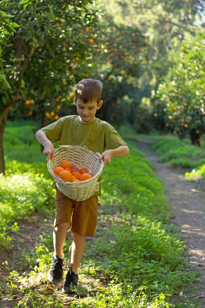 Photograph by Olga Min