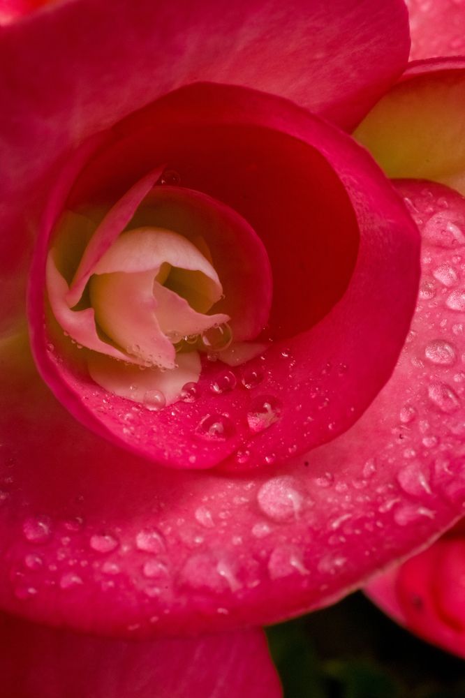 Photograph by Николай Головко