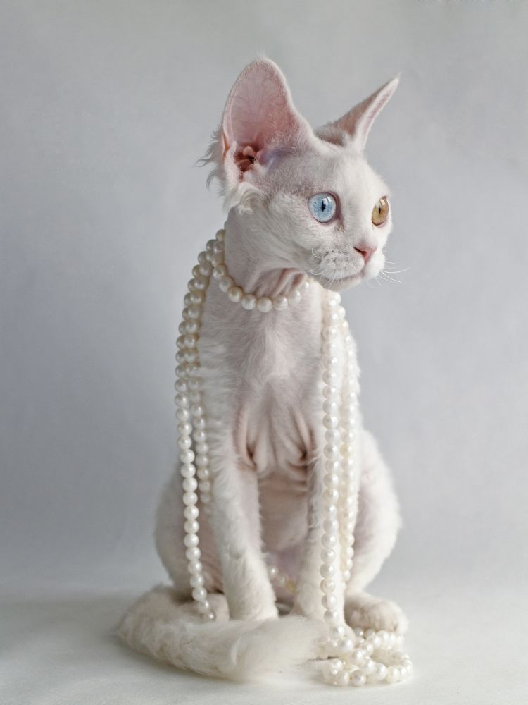 Photograph by Anna Medvedeva