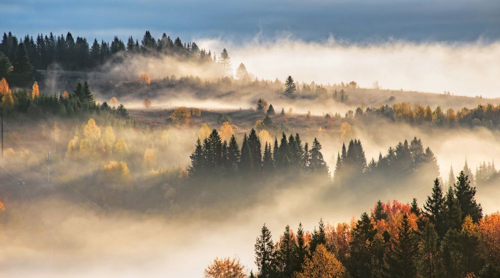 Photograph by Соколова Елена