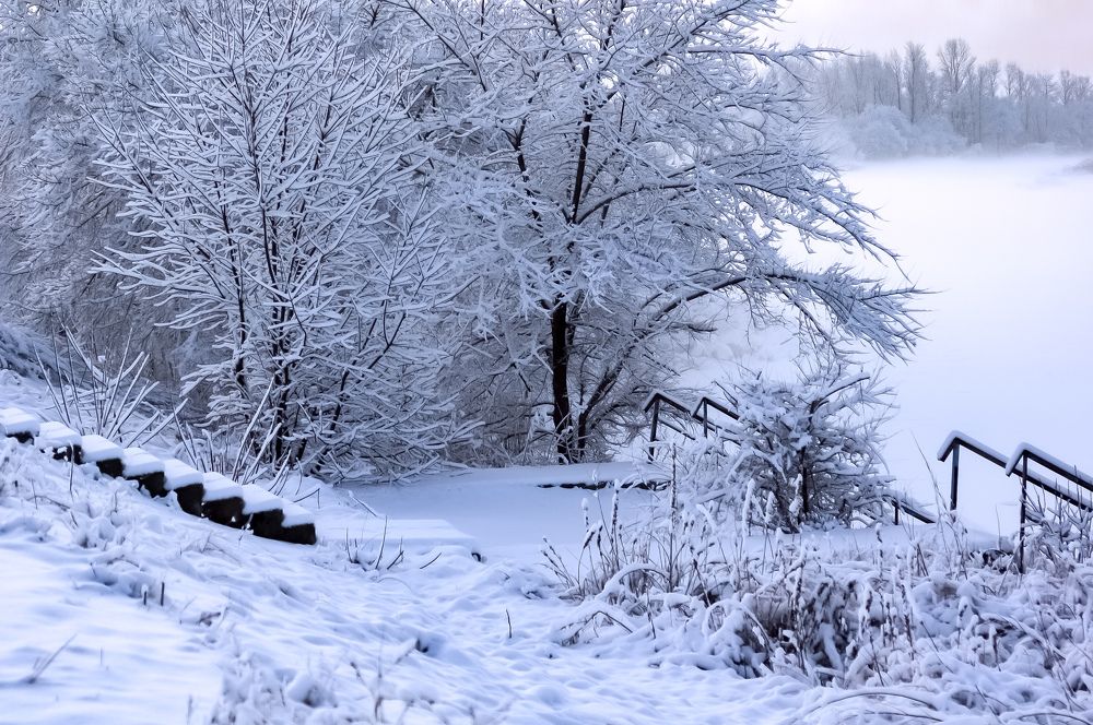 Творение чистого мира...