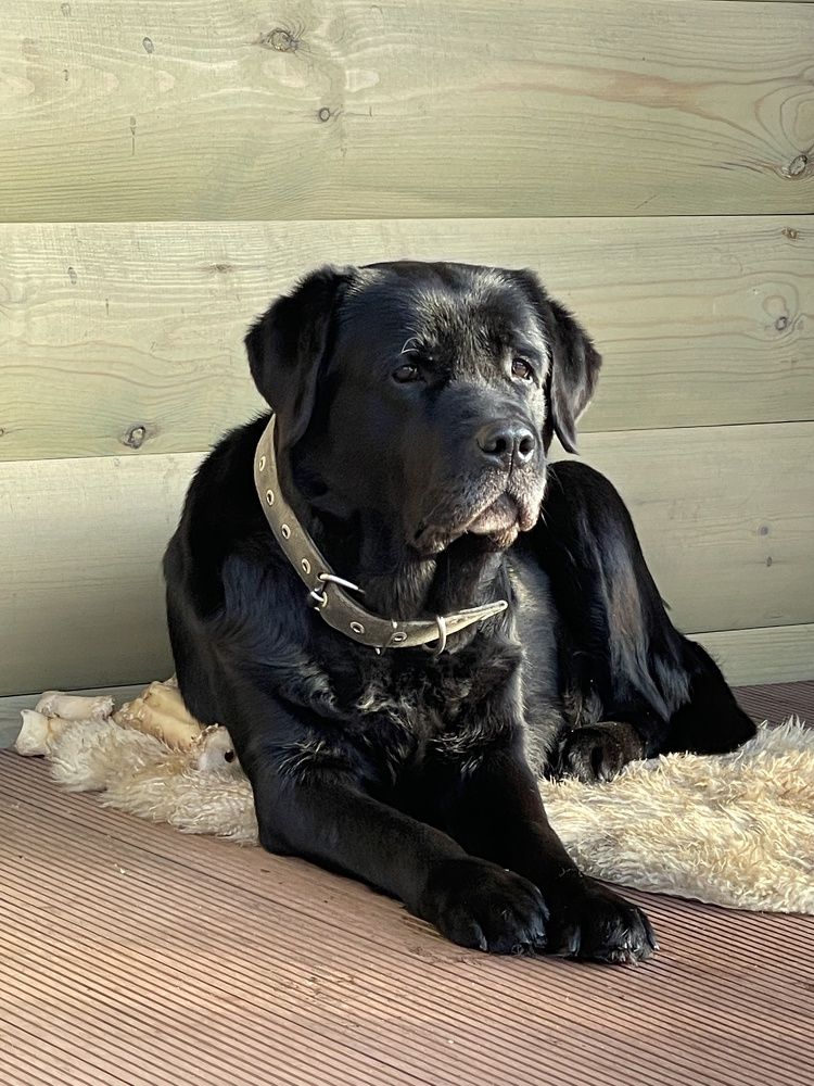 Photograph by Ольга Рачилова