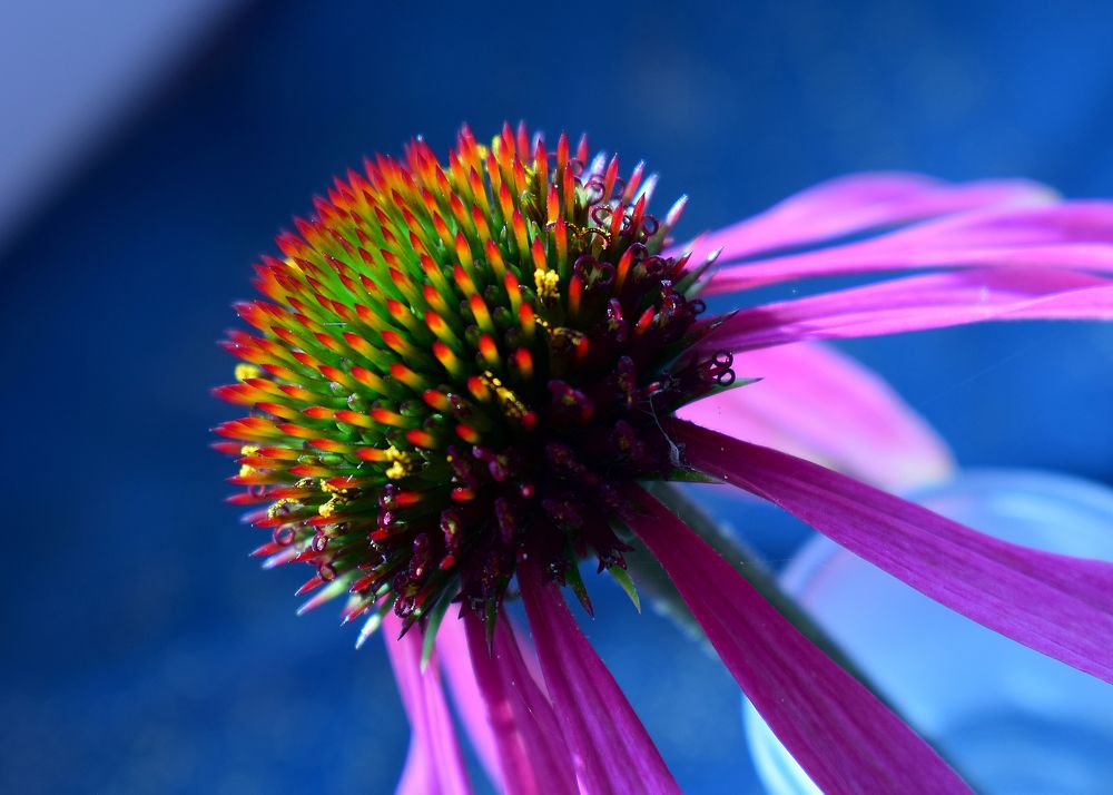 Фотография автора Оксана Льдинина